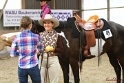 31-APHA OAWP_026